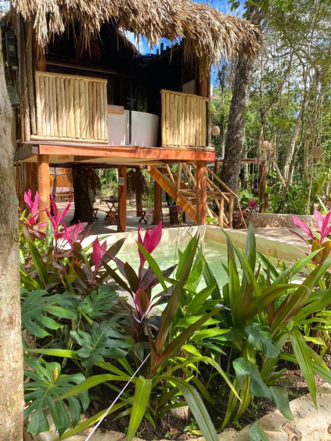 Nuscaa Boutique Tree House & Spa Hotel Puerto Morelos Exterior foto
