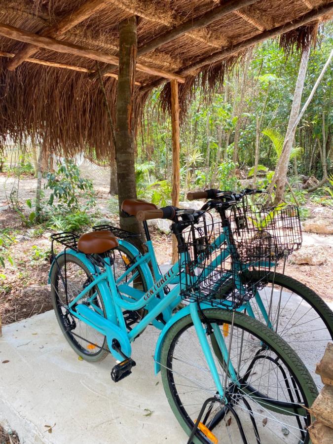 Nuscaa Boutique Tree House & Spa Hotel Puerto Morelos Exterior foto