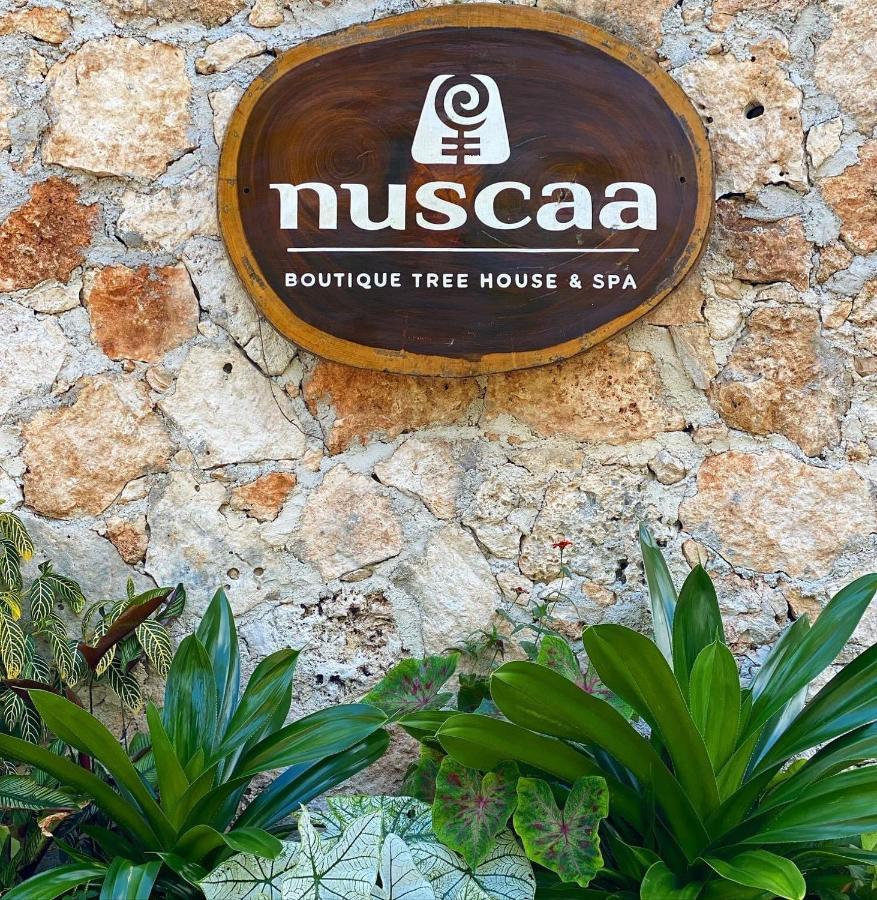 Nuscaa Boutique Tree House & Spa Hotel Puerto Morelos Exterior foto